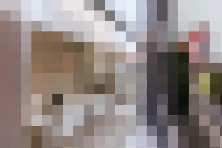 Alcide de Gasperistraat 6 Herten thumbnail 39