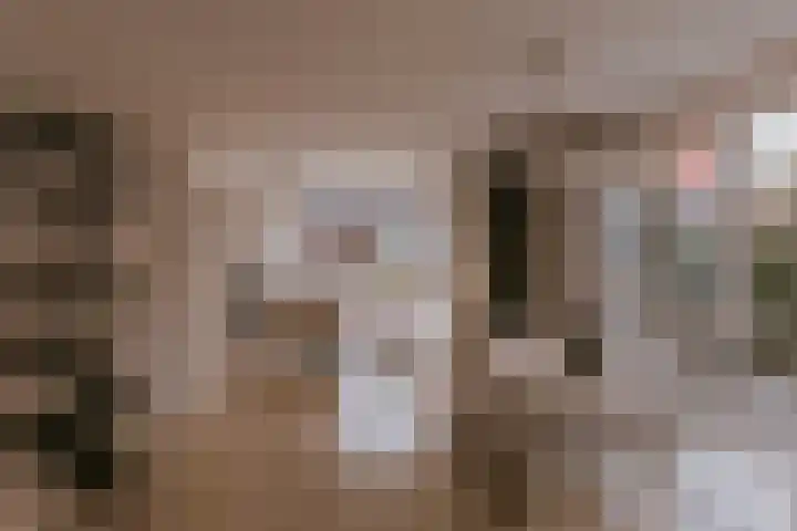 Alcide de Gasperistraat 6 Herten thumbnail 4