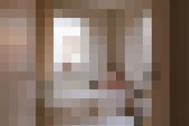 Alcide de Gasperistraat 6 Herten thumbnail 45