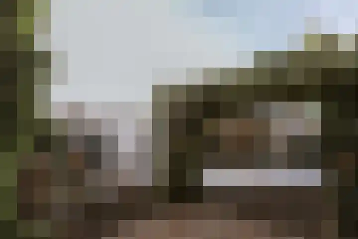 Alcide de Gasperistraat 6 Herten thumbnail 5