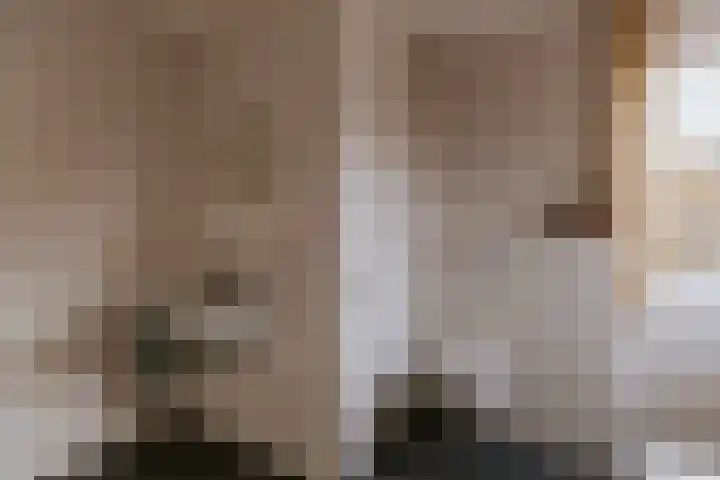 Alcide de Gasperistraat 6 Herten thumbnail 51