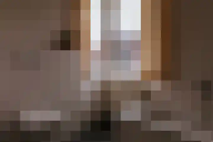 Alcide de Gasperistraat 6 Herten thumbnail 52