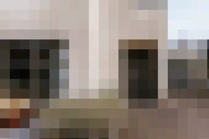 Alcide de Gasperistraat 6 Herten thumbnail 7