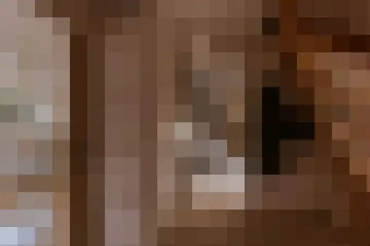 Alcide de Gasperistraat 6 Herten thumbnail 8