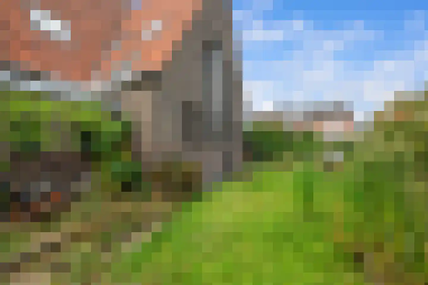 Alcorplein 13 A Rotterdam thumbnail 28