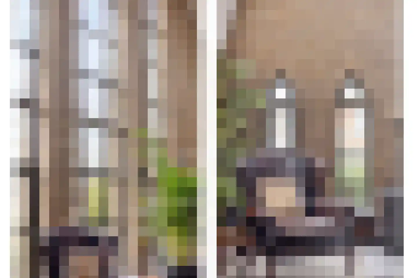 Alcorplein 13 B Rotterdam thumbnail 129