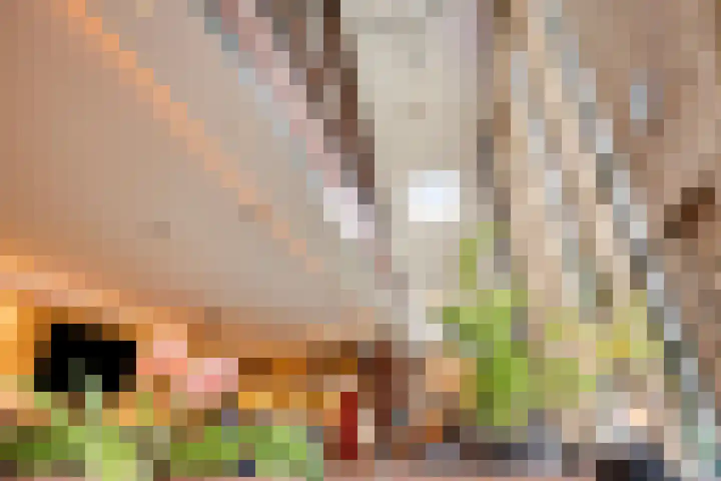 Alcorplein 13 B Rotterdam thumbnail 21