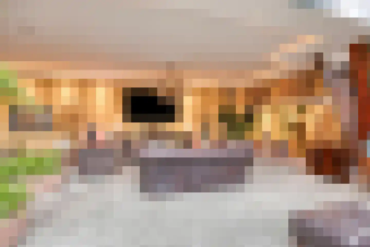 Alcorplein 13 B Rotterdam thumbnail 23