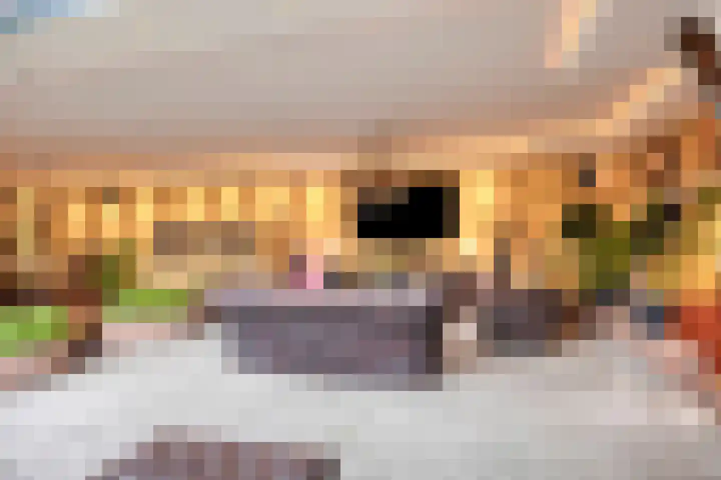 Alcorplein 13 B Rotterdam thumbnail 25