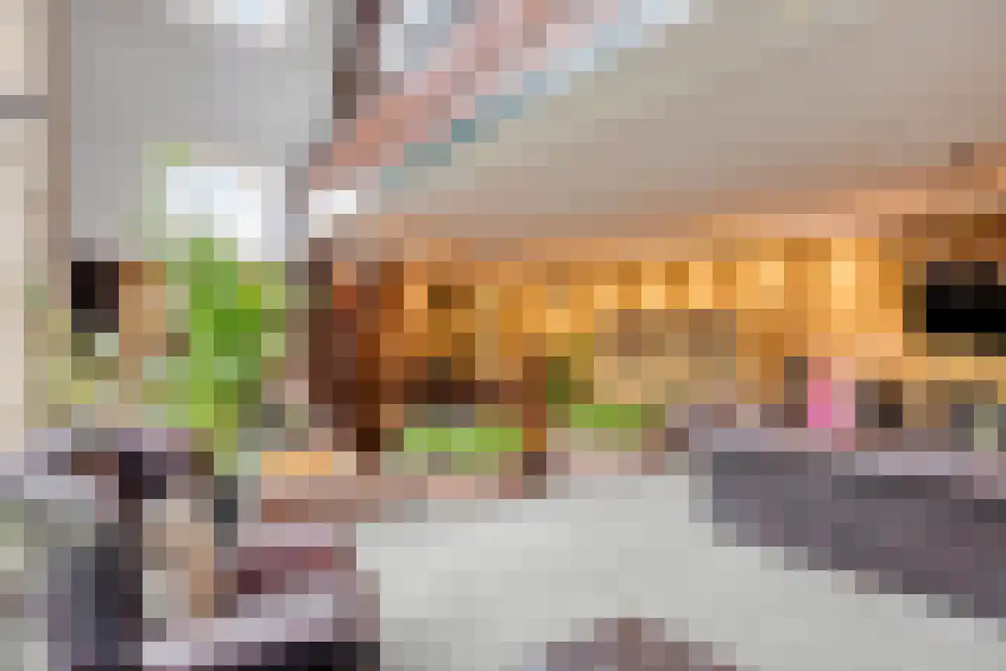 Alcorplein 13 B Rotterdam thumbnail 26
