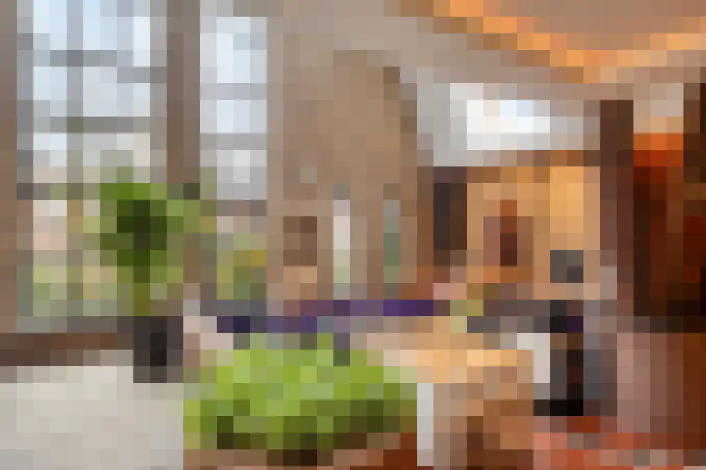 Alcorplein 13 B Rotterdam thumbnail 30