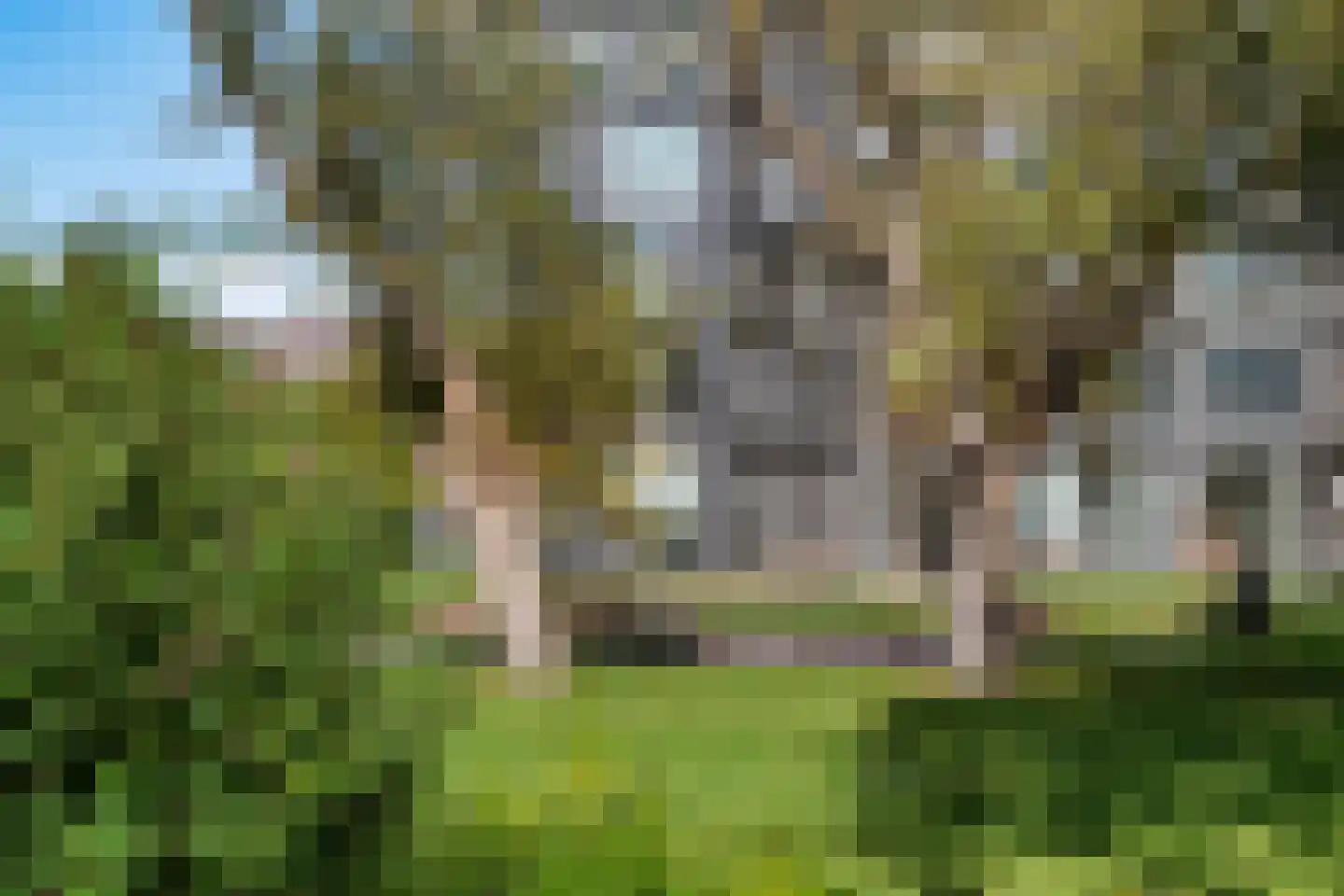 Alcorplein 13 B Rotterdam thumbnail 33