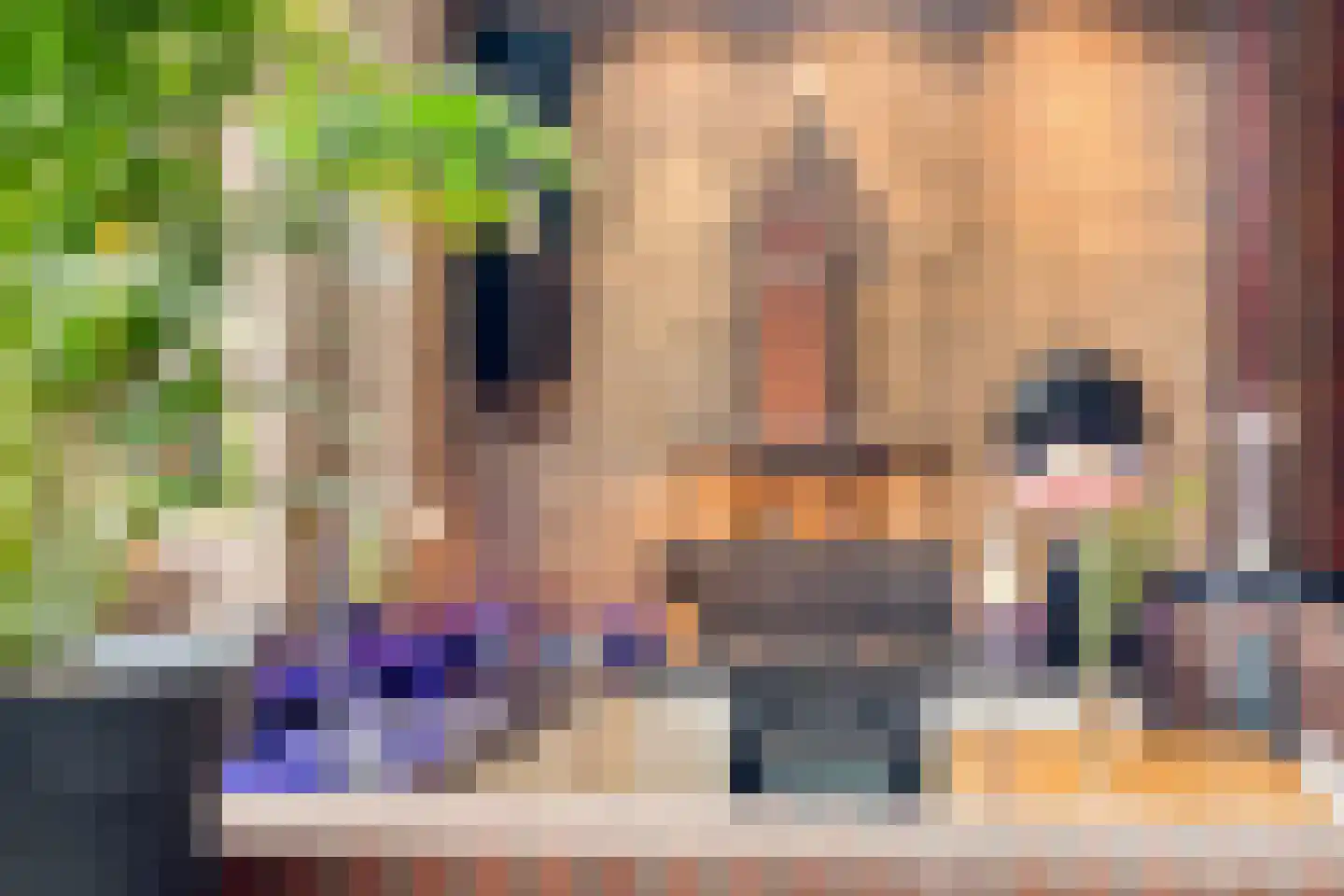 Alcorplein 13 B Rotterdam thumbnail 53