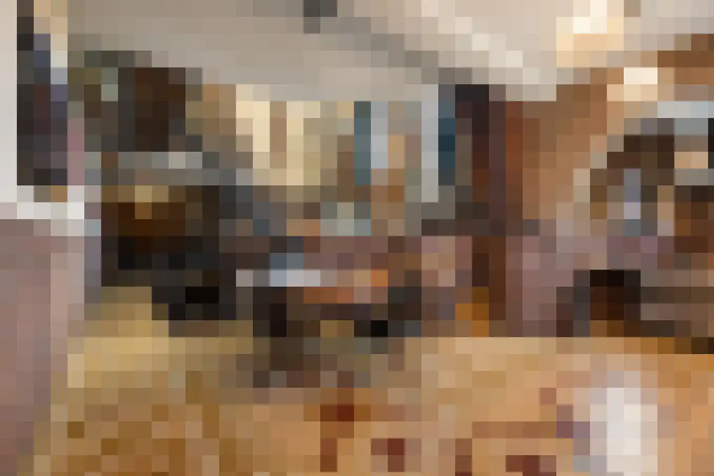 Alcorplein 13 B Rotterdam thumbnail 7
