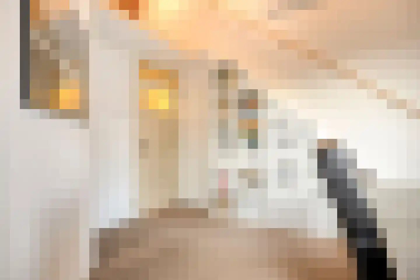 Alcorplein 13 B Rotterdam thumbnail 80