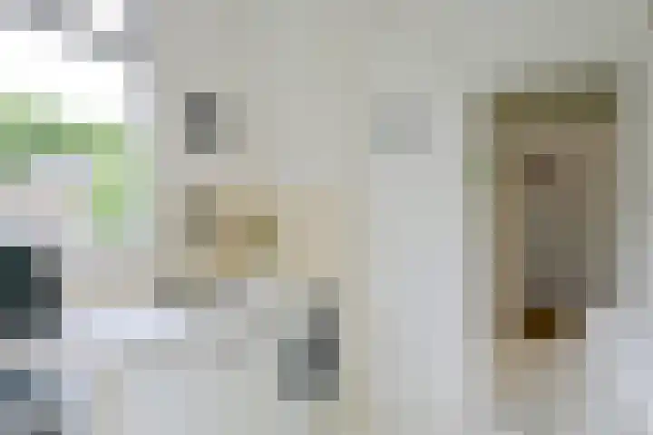 Alcorstraat 21 Rotterdam thumbnail 15