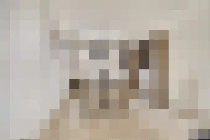 Alcorstraat 7 Spijkenisse thumbnail 13