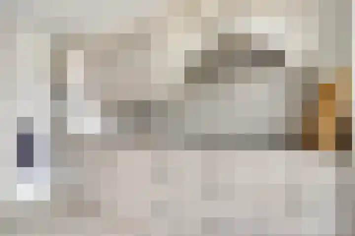Alcorstraat 7 Spijkenisse thumbnail 18
