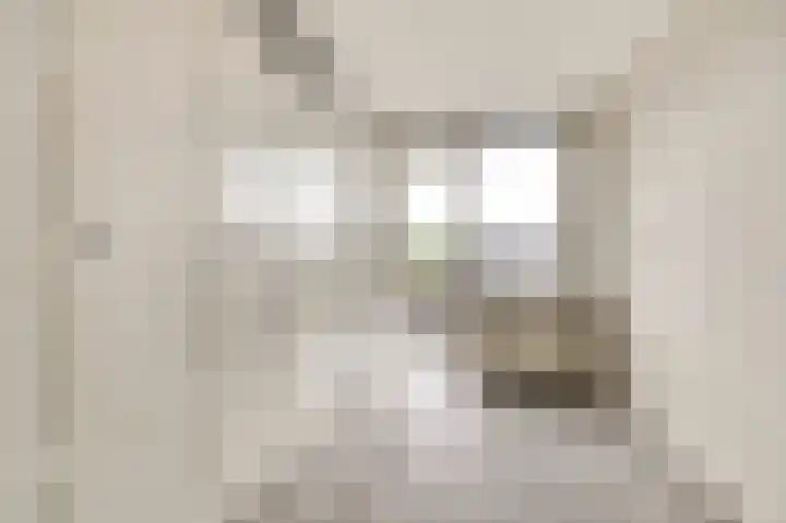 Alcorstraat 7 Spijkenisse thumbnail 24
