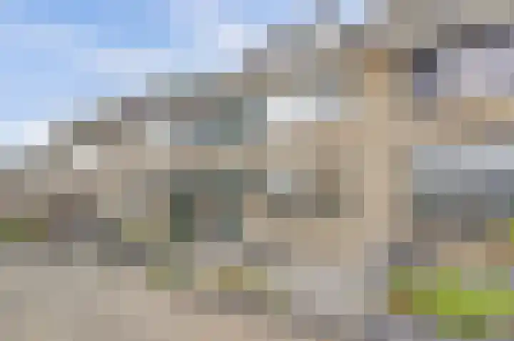 Alcorstraat 7 Spijkenisse thumbnail 31