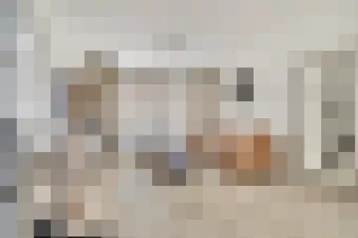Alcorstraat 7 Spijkenisse thumbnail 9