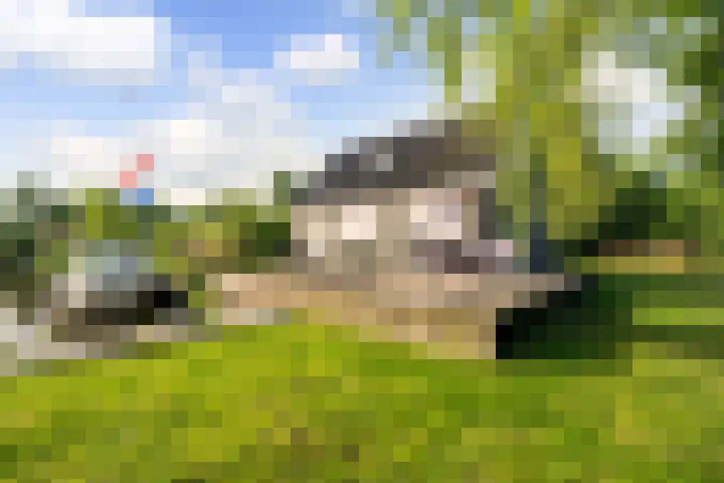 Ald Fean 5 Warten thumbnail 10