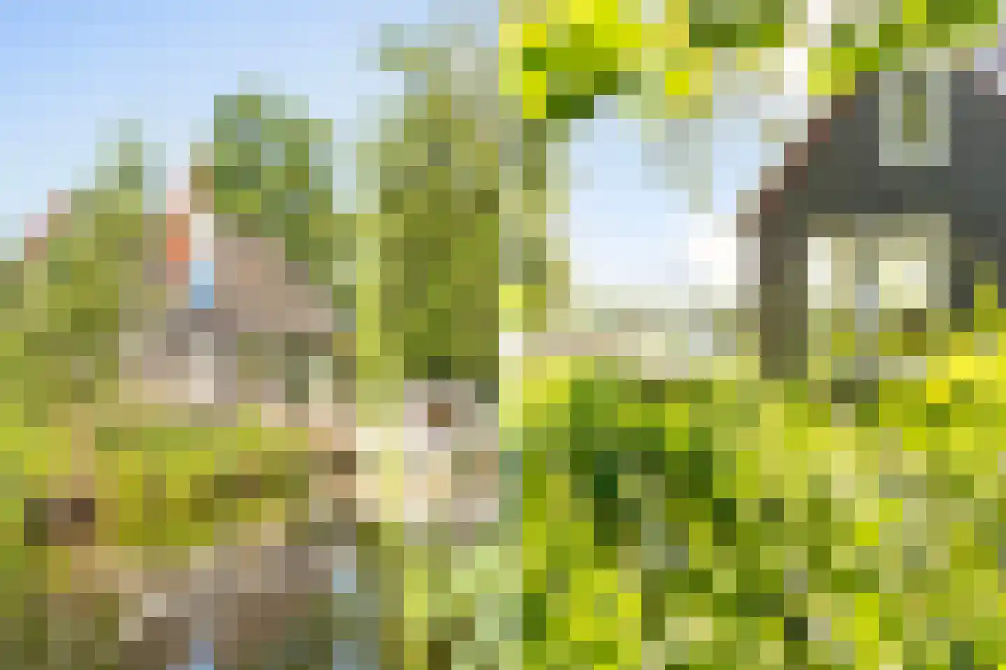 Ald Fean 5 Warten thumbnail 11
