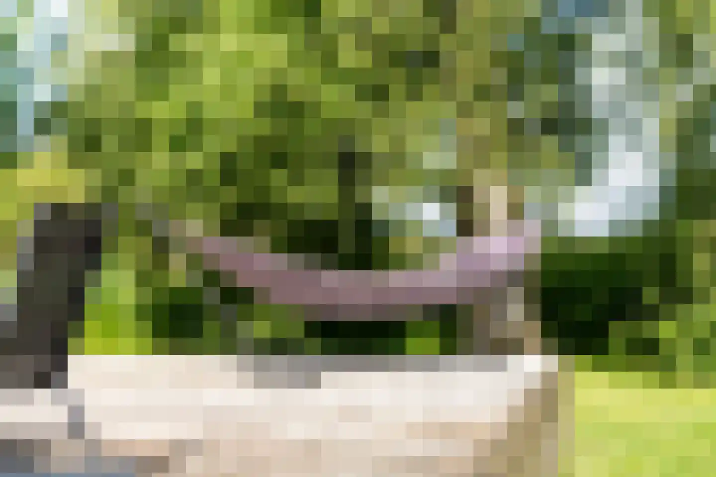 Ald Fean 5 Warten thumbnail 29