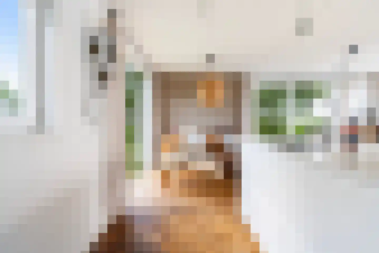 Ald Fean 5 Warten thumbnail 32
