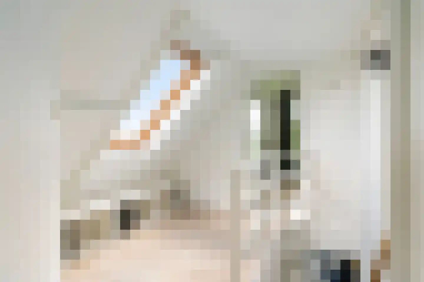 Ald Fean 5 Warten thumbnail 34