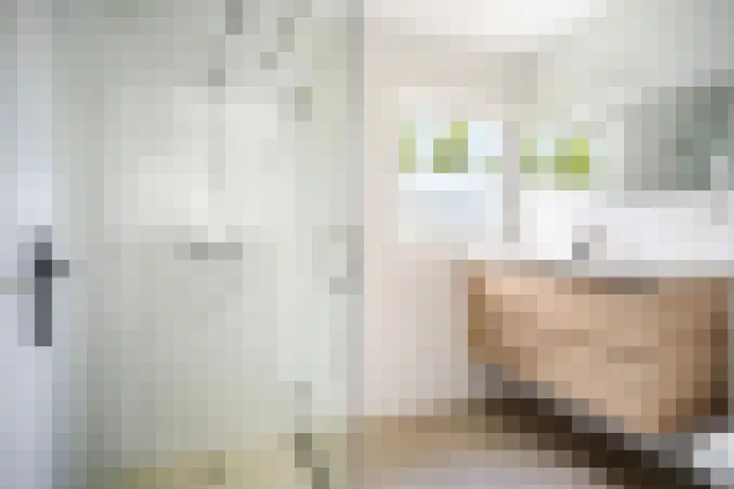 Ald Fean 5 Warten thumbnail 43