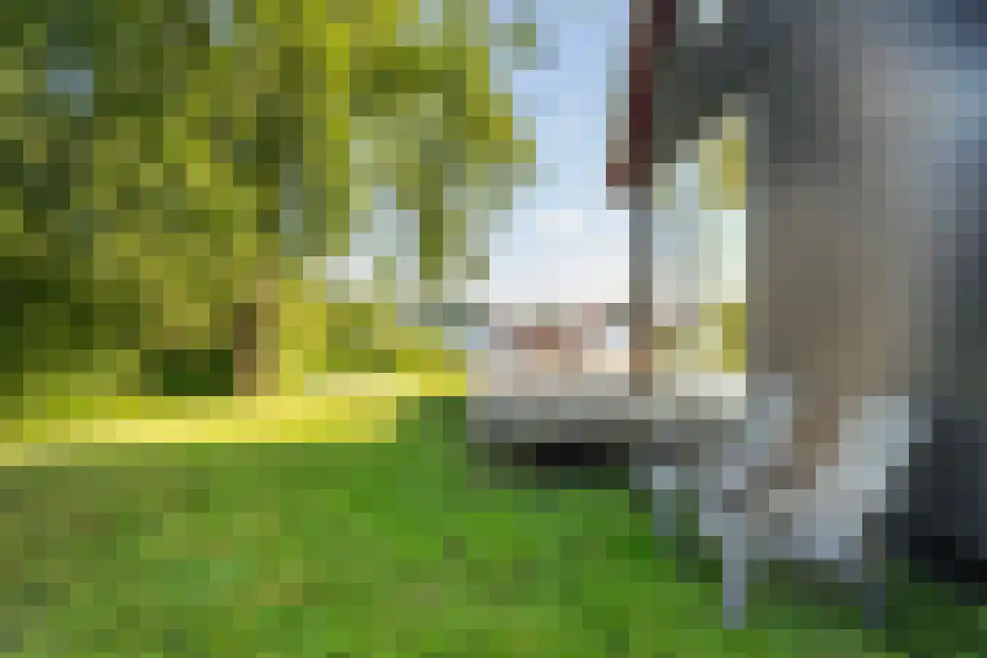Ald Fean 5 Warten thumbnail 48