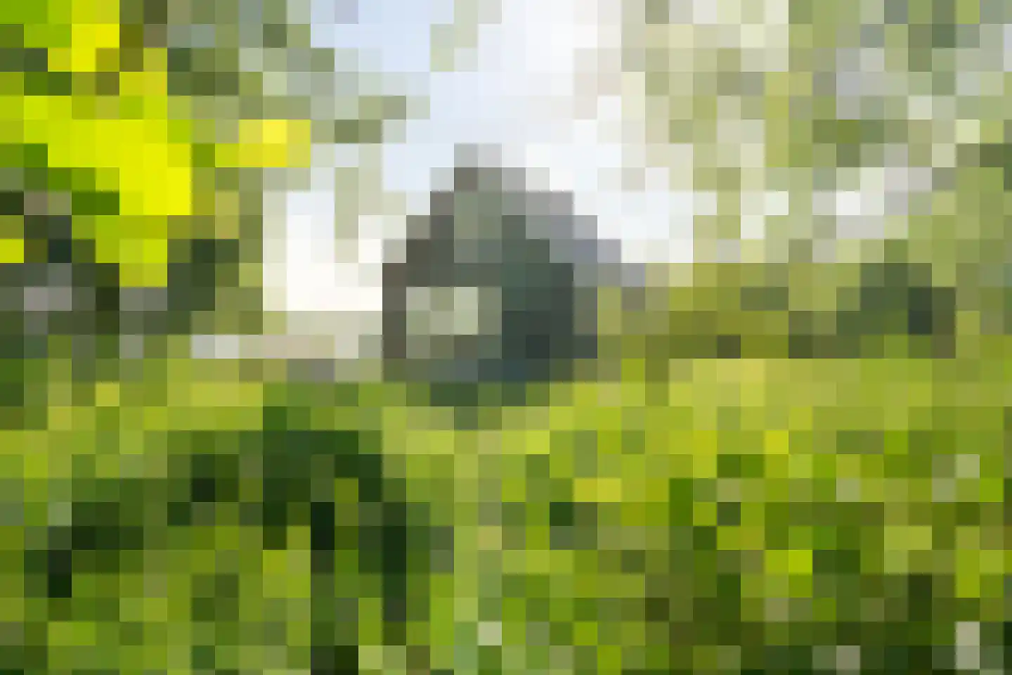 Ald Fean 5 Warten thumbnail 51