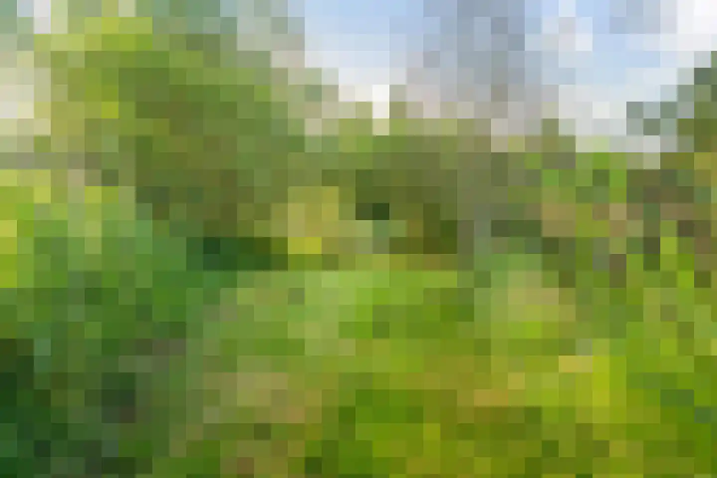 Ald Fean 5 Warten thumbnail 54