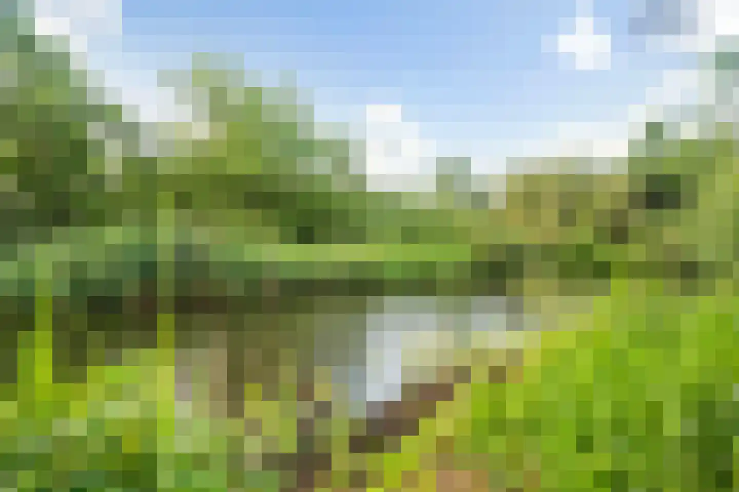 Ald Fean 5 Warten thumbnail 55