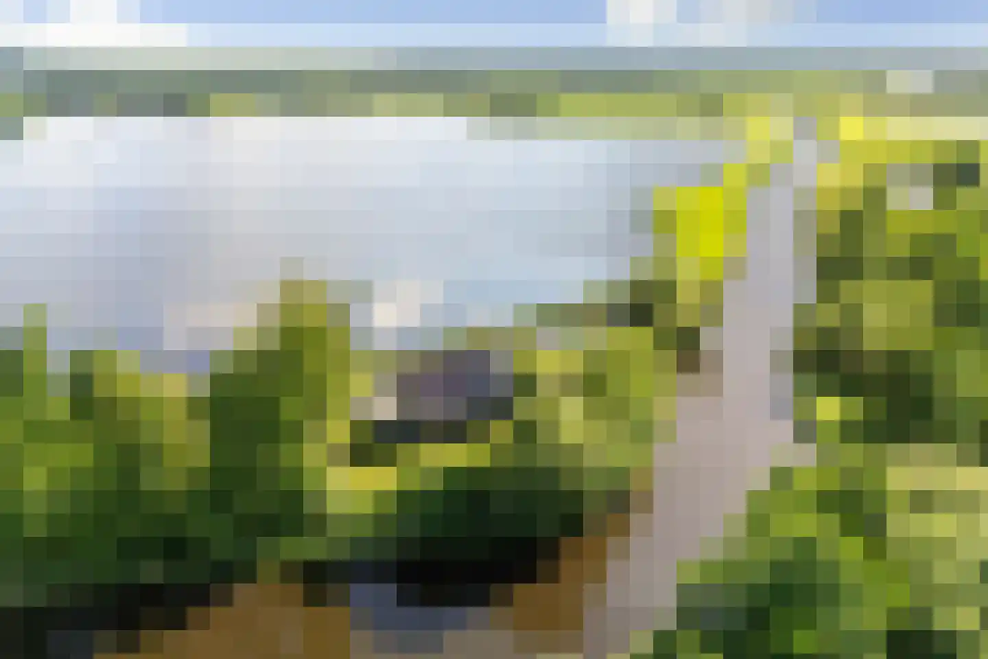 Ald Fean 5 Warten thumbnail 58