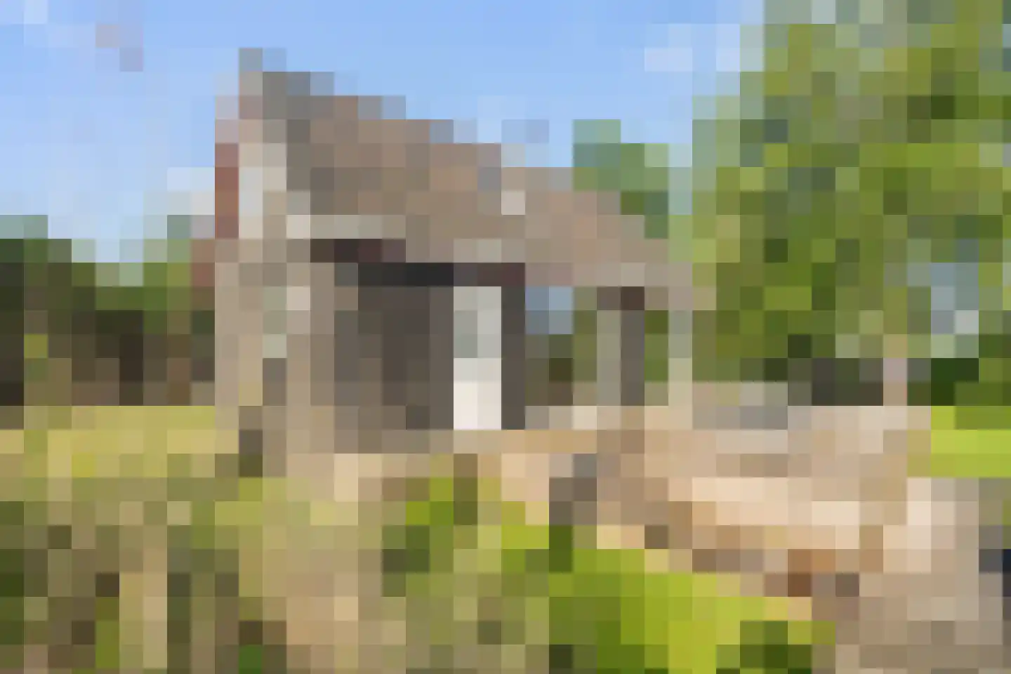 Ald Fean 5 Warten thumbnail 8