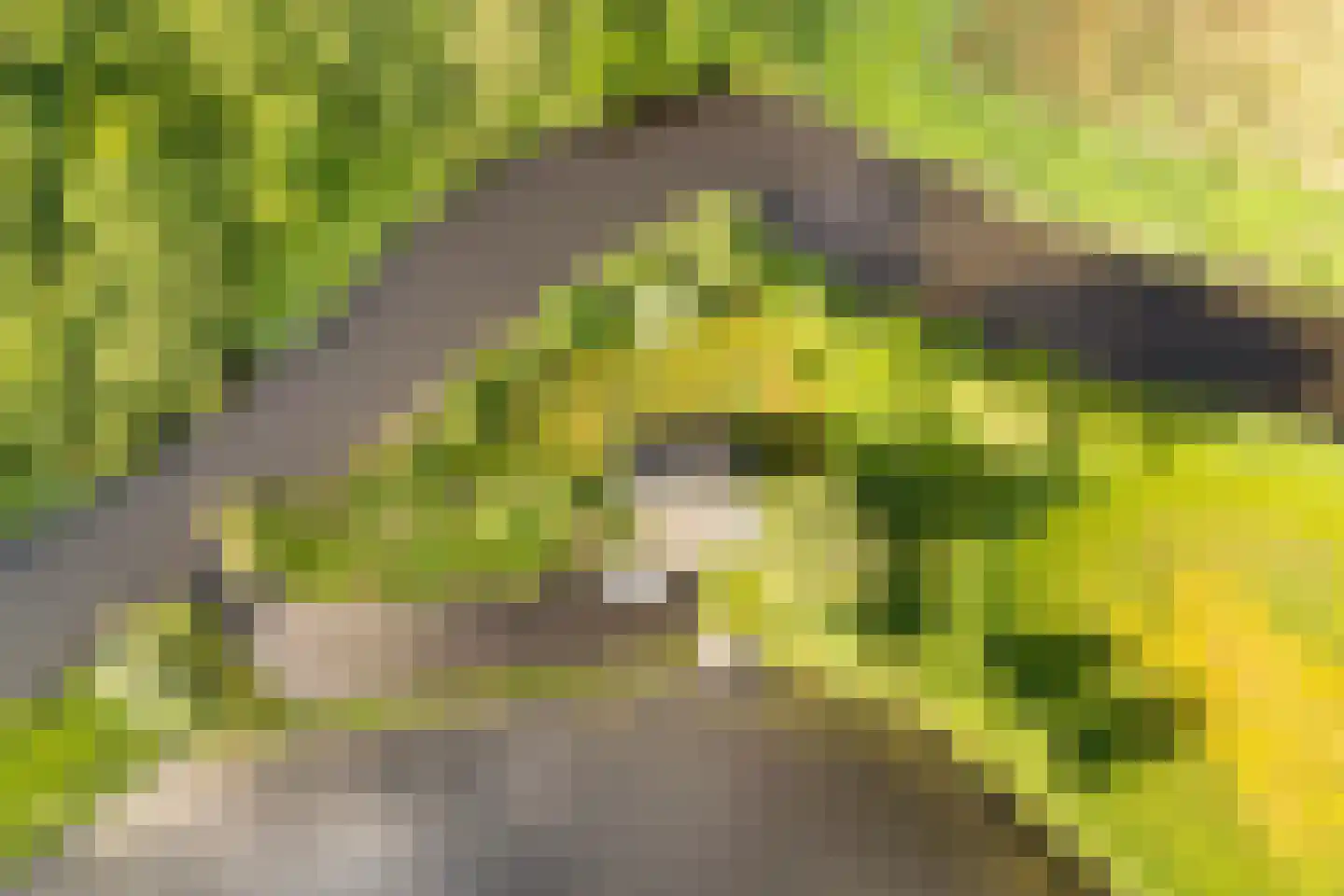 Ald Fean 5 Warten thumbnail 9