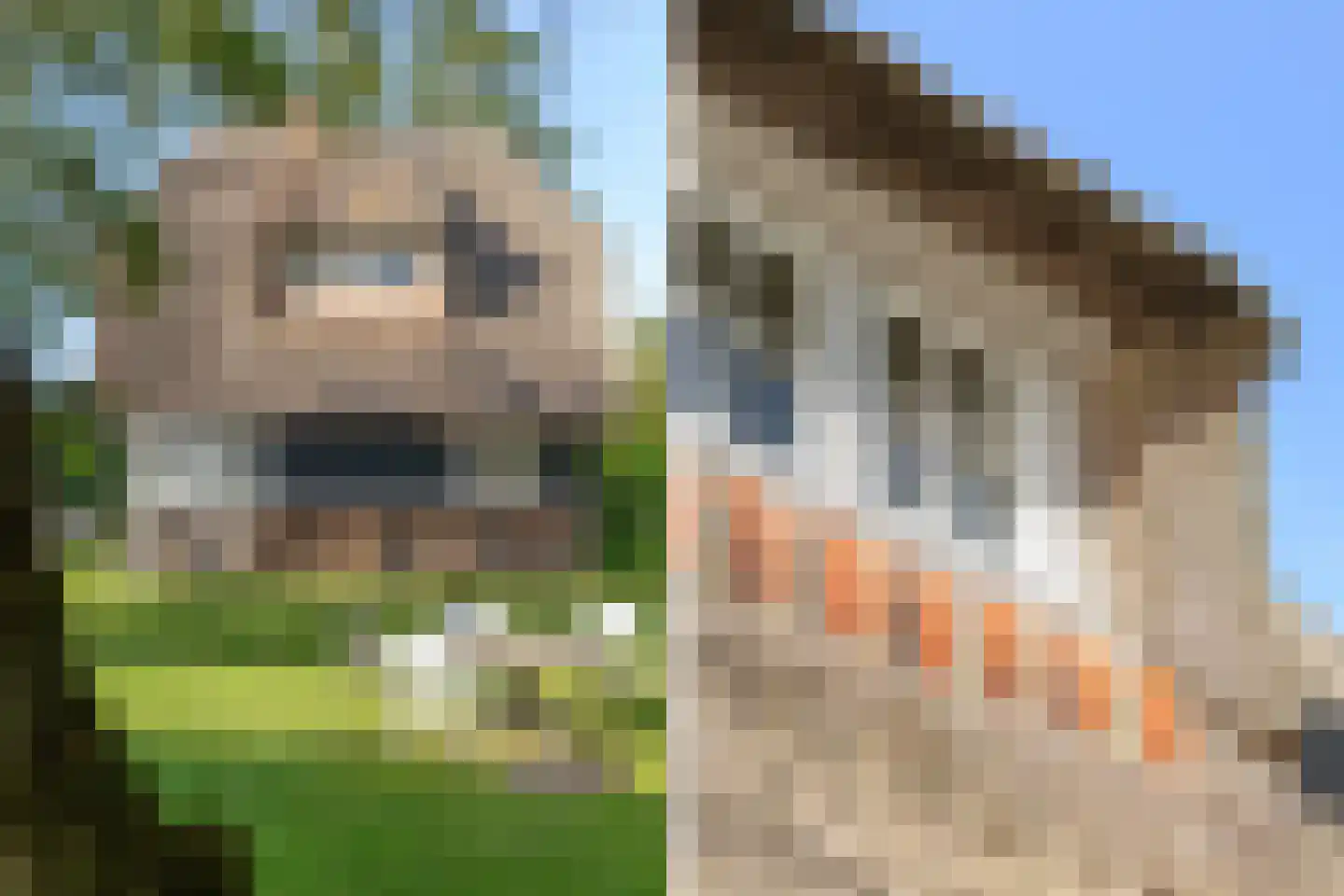Ald Fean 6 Warten thumbnail 10