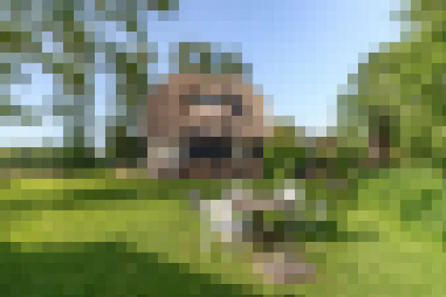 Ald Fean 6 Warten thumbnail 4