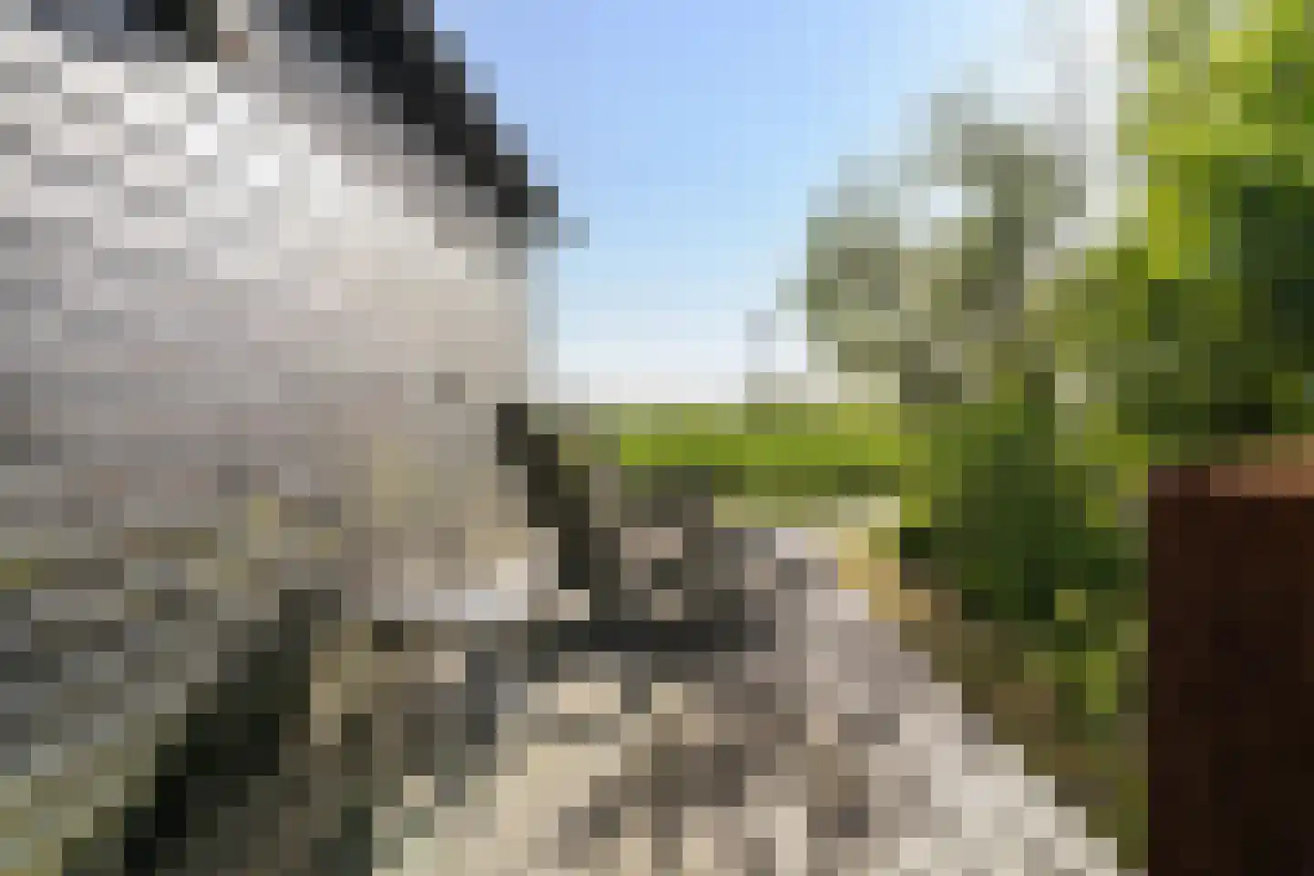Ald Fean 6 Warten thumbnail 42