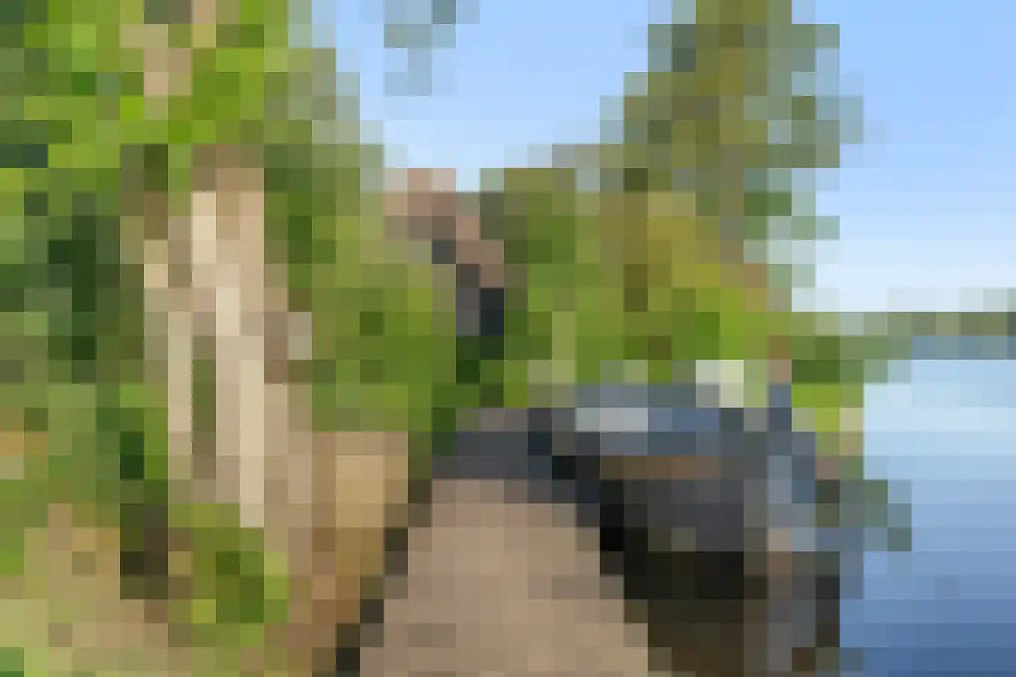 Ald Fean 6 Warten thumbnail 6