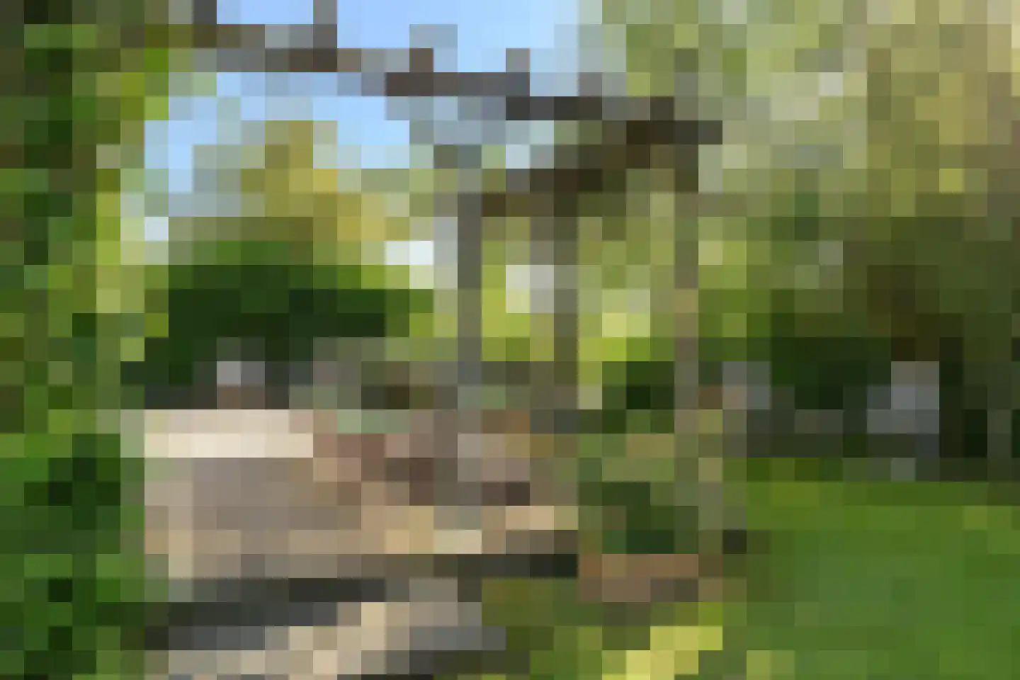 Ald Fean 6 Warten thumbnail 7