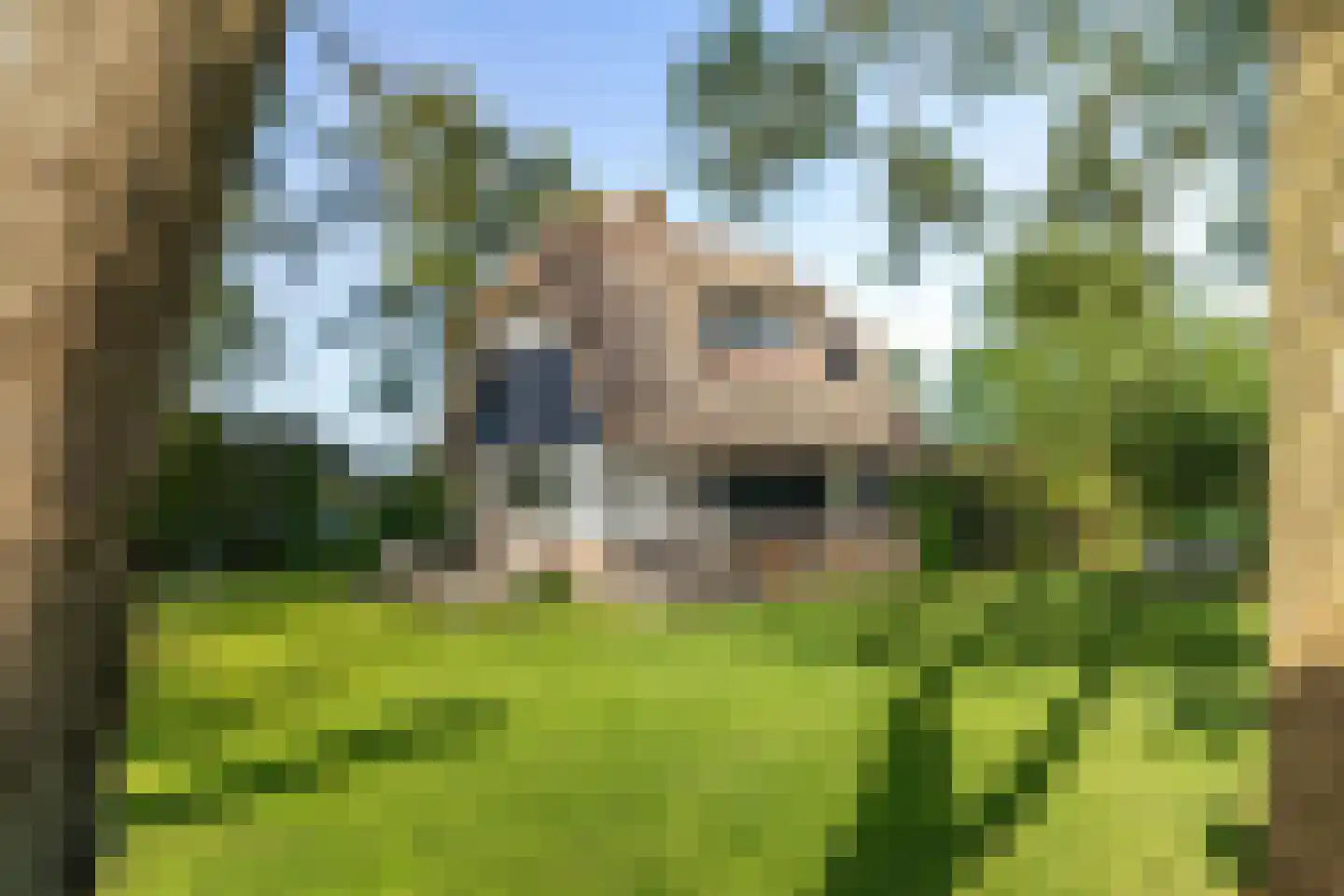 Ald Fean 6 Warten thumbnail 9
