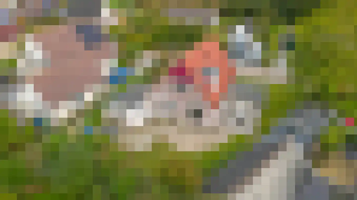 Ald Haven 21 Lollum thumbnail 25