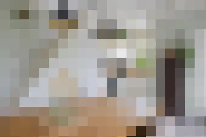 Ald Hiem 7 Wommels thumbnail 10