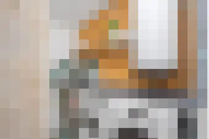 Ald Hiem 7 Wommels thumbnail 13