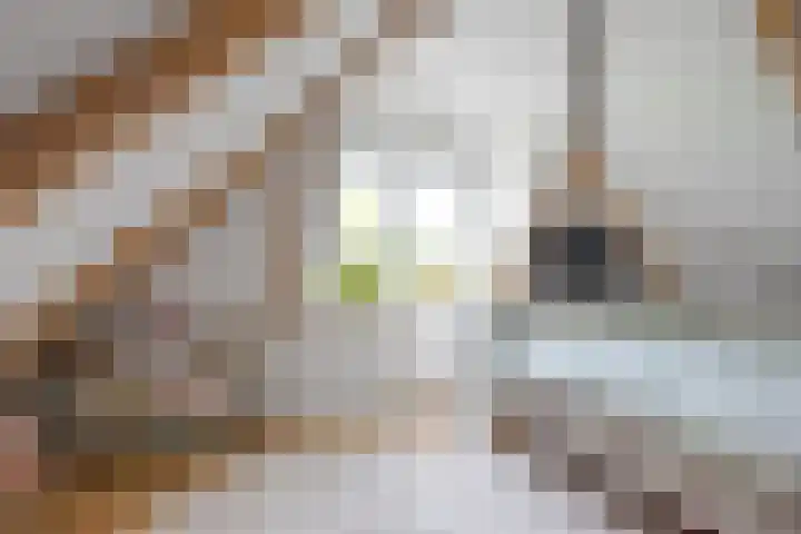 Ald Hiem 7 Wommels thumbnail 16