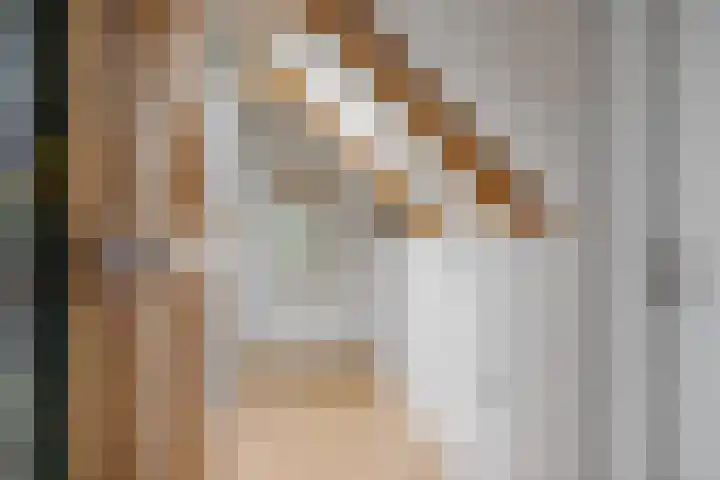 Ald Hiem 7 Wommels thumbnail 19