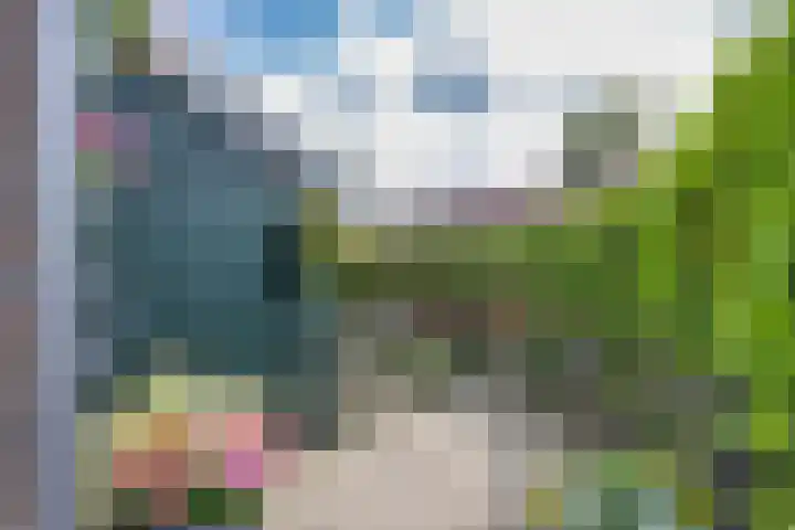 Ald Hiem 7 Wommels thumbnail 20